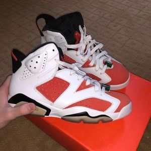 Air Jordan Gatorade 6s 🔥⚡️